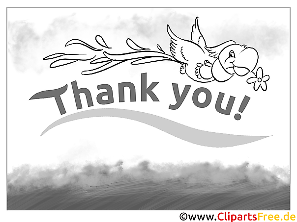 Thank You Ausmalbild Papagei Thank You Ausmalbild Papagei