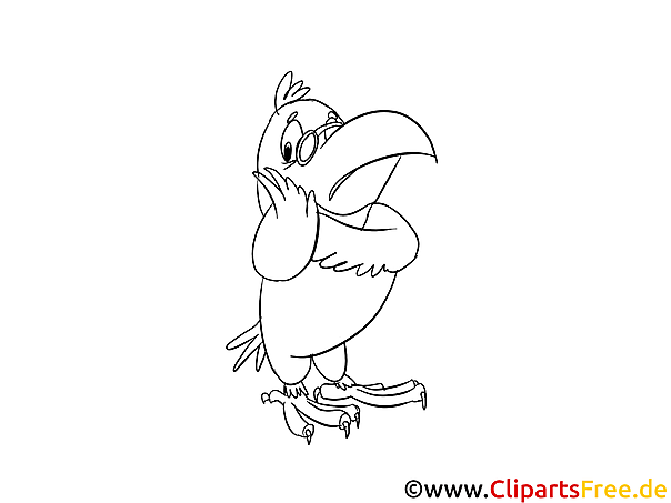 Cartoon Papagei Malvorlage kostenlos Cartoon Papagei Malvorlage kostenlos