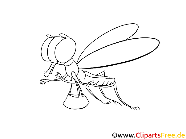 Libelle Bild zum Ausmalen kostenlos Libelle Bild zum Ausmalen kostenlos