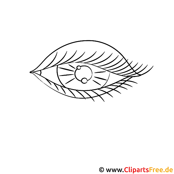 Auge Bild zum Ausmalen Auge Bild zum Ausmalen