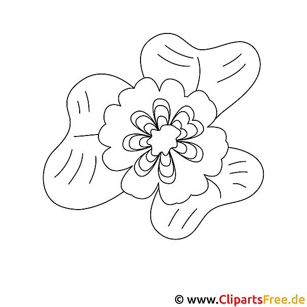 Kleeblatt Bild zum Ausmalen Kleeblatt Bild zum Ausmalen