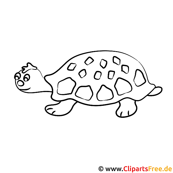 Schildkroete Bild zum Ausmalen Schildkroete Bild zum Ausmalen