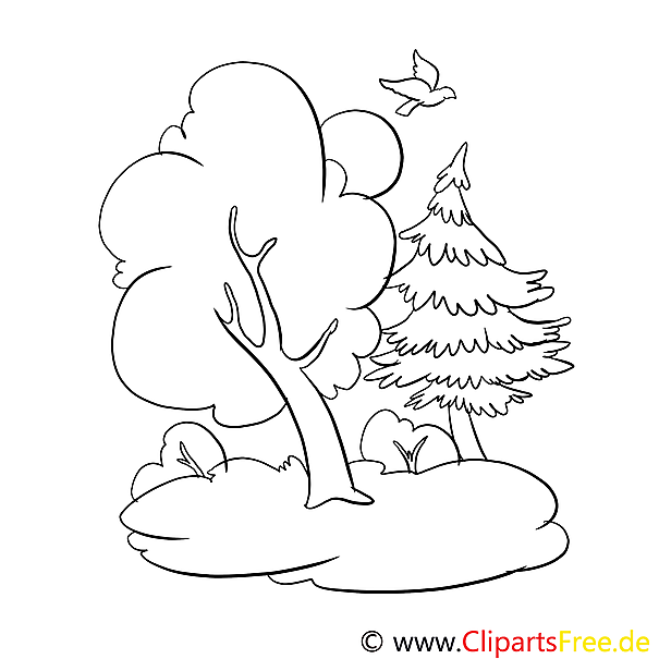 clipart kostenlos wald - photo #14