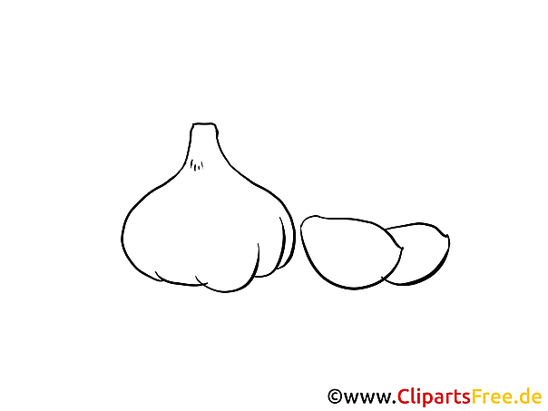 Knoblauch Malvorlage gratis zum Herunterladen und Ausmalen Knoblauch Malvorlage gratis zum Herunterladen und Ausmalen