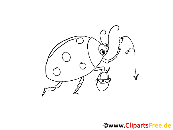 Cartoonkäfer Malvorlage Cartoonkäfer Malvorlage