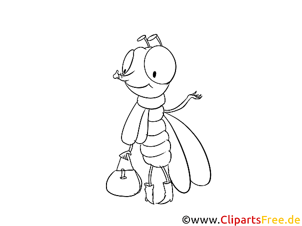 Fliege Malvorlage Fliege Malvorlage