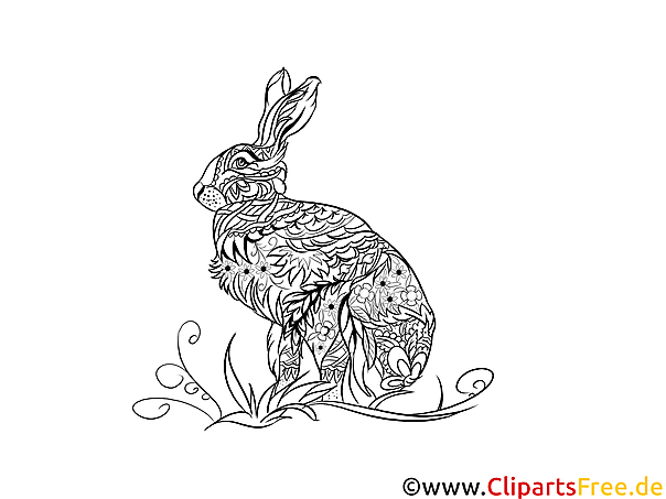 Malvorlage für Erwachsene Kaninchen, Hase, Tier Malvorlage für Erwachsene Kaninchen, Hase, Tier