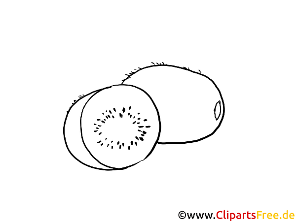 Kiwi Ausmalbild für Kinder kostenlos ausdrucken Kiwi Ausmalbild für Kinder kostenlos ausdrucken
