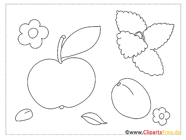 obst einfache ausmalbilder kostenlos