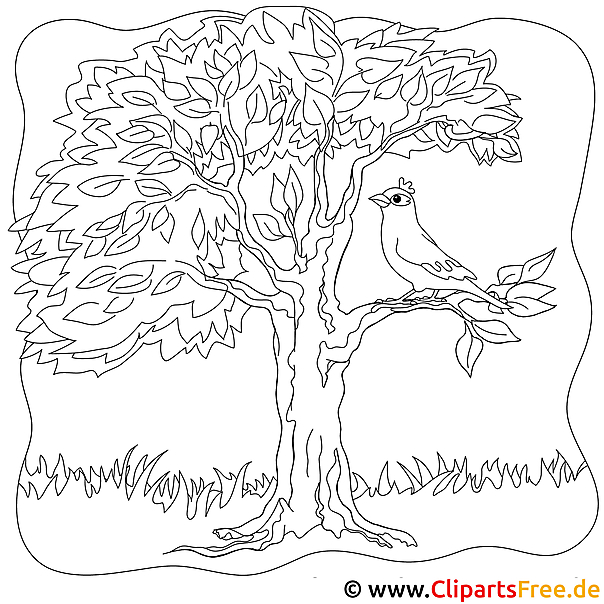 Ausmalbild Vogel auf dem Baum Ausmalbild Vogel auf dem Baum