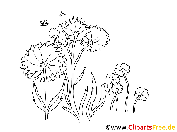 malvorlage löwenzahn Coloring and Malvorlagan malvorlage löwenzahn Coloring and Malvorlagan