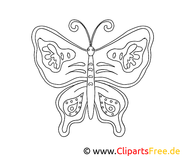 Ausmal Bild Schmetterling Ausmal Bild Schmetterling