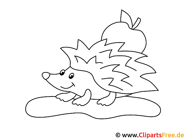 Comic Igel Ausmalbild Comic Igel Ausmalbild