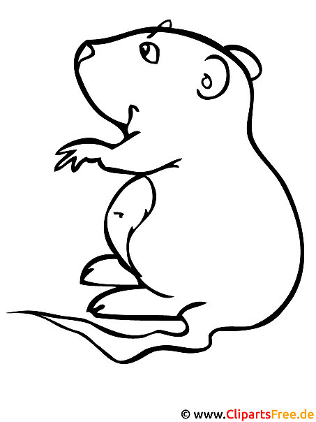 Hamster - Kinder Malvorlagen gratis Hamster - Kinder Malvorlagen gratis