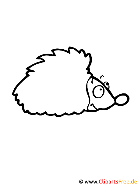 Igel Malvorlage gratis Igel Malvorlage gratis