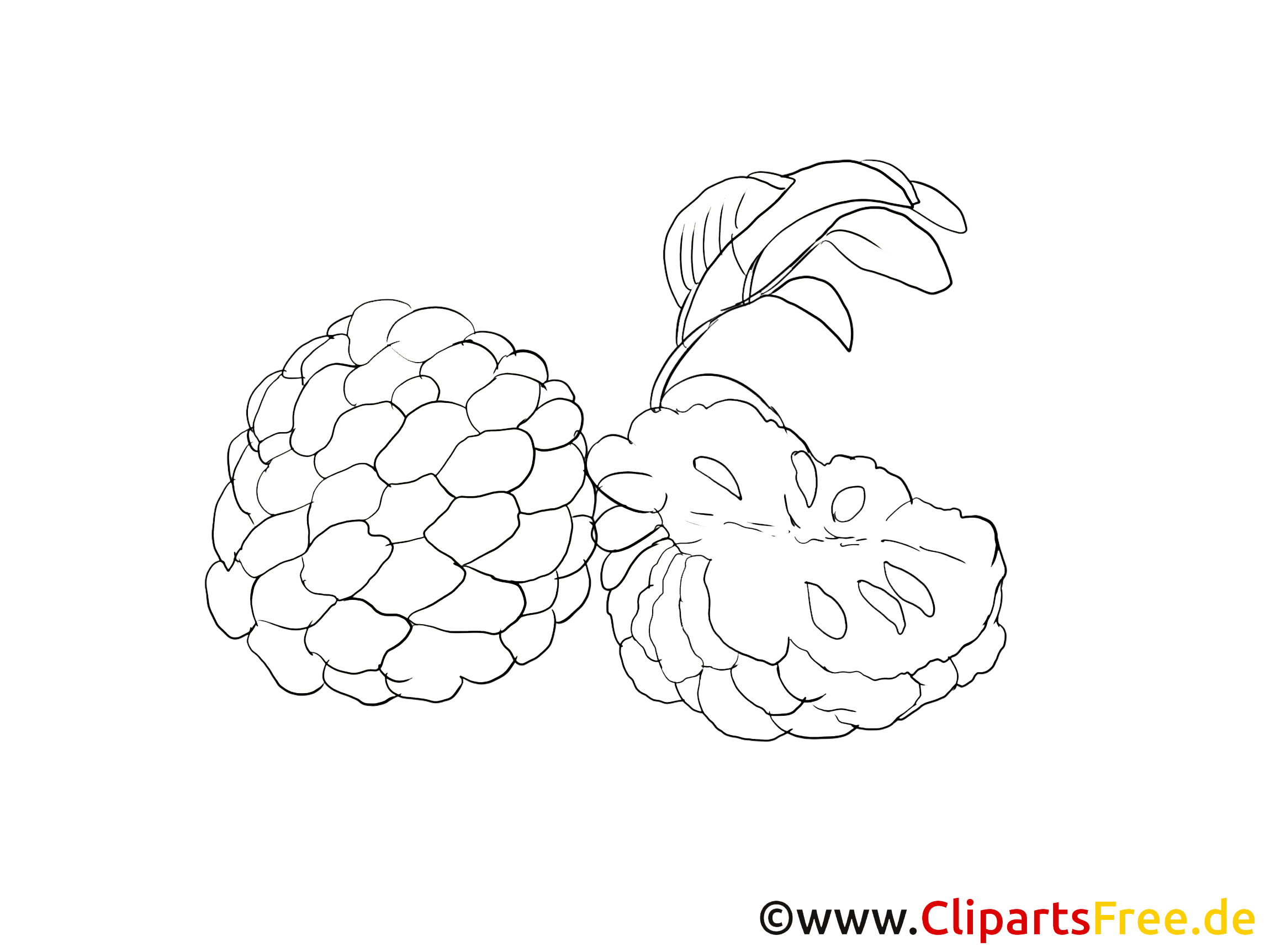 Obst Grafik zum Ausmalen