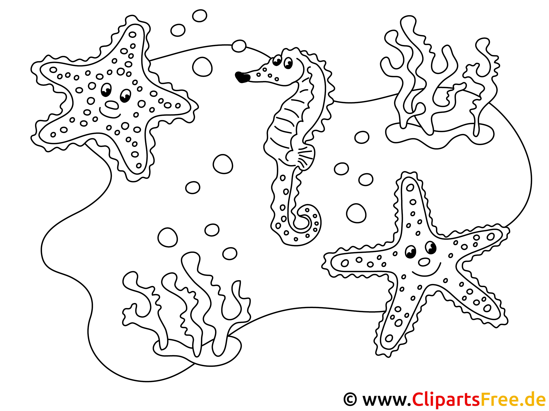 Meerestiere Malvorlagen