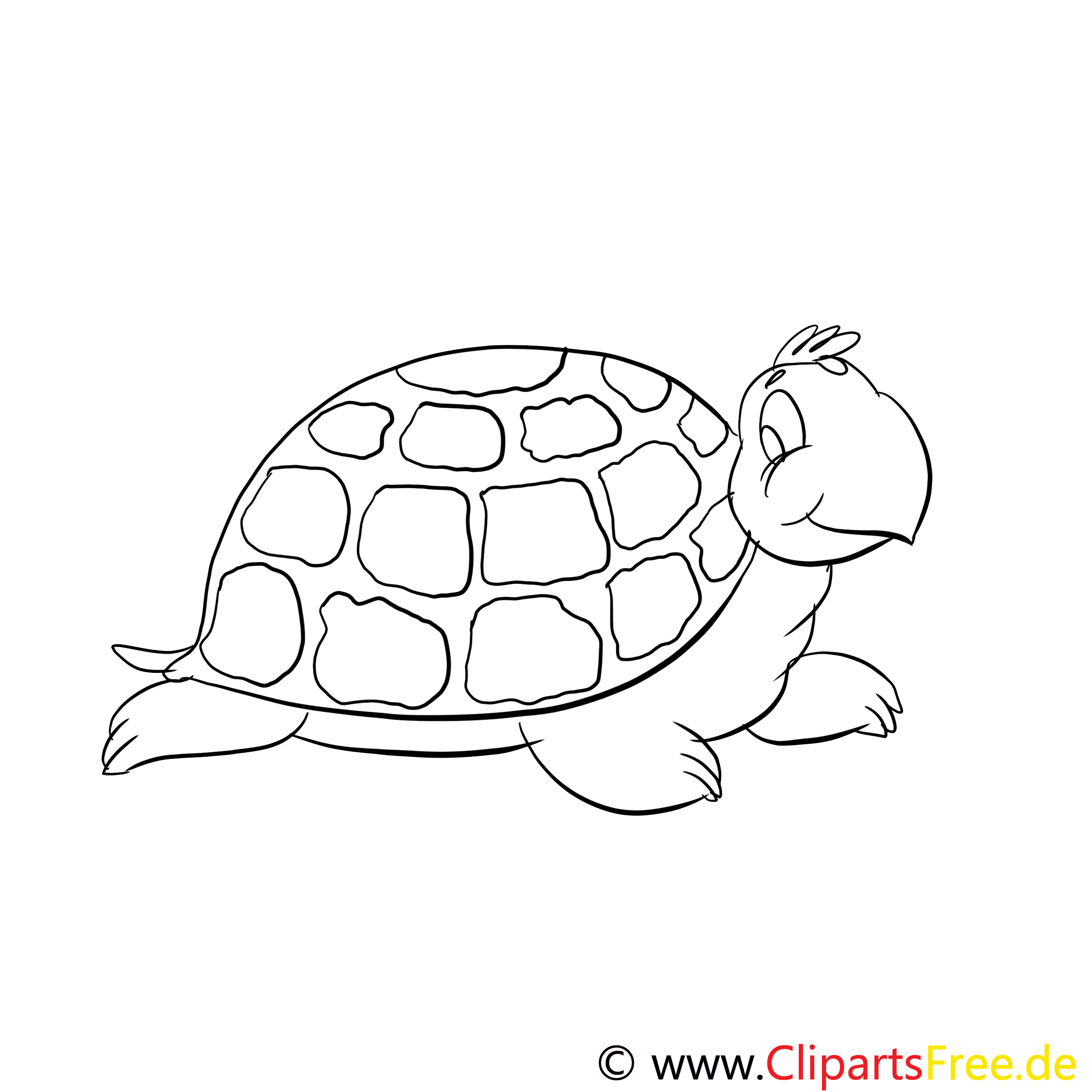 schildkröte ausmalbilder für kinder gratis