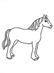 Színező kép ló